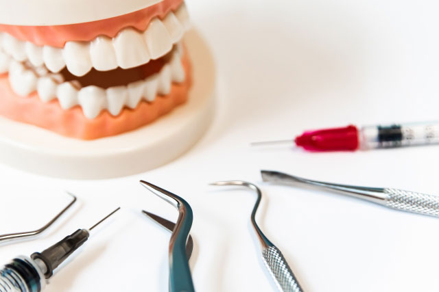 歯の模型と器具